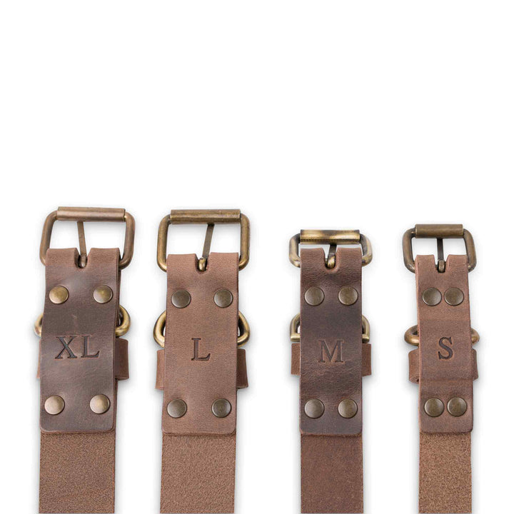 Tomak | Dog Collar | Chestnut