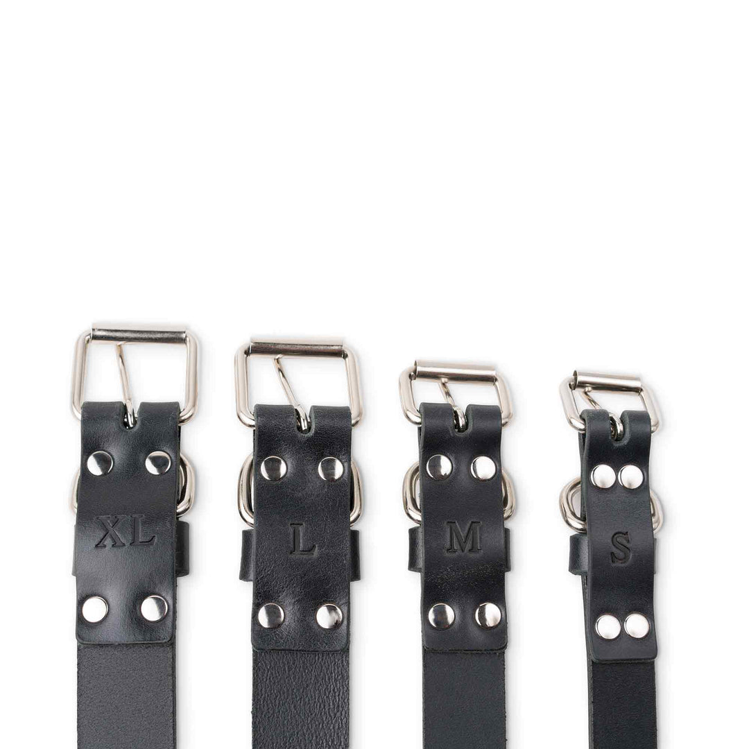 Tomak | Dog Collar | Black