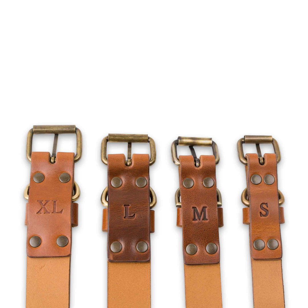 Tomak | Dog Collar | Cognac