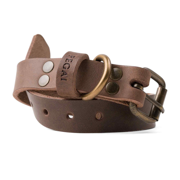 Tomak | Dog Collar | Chestnut