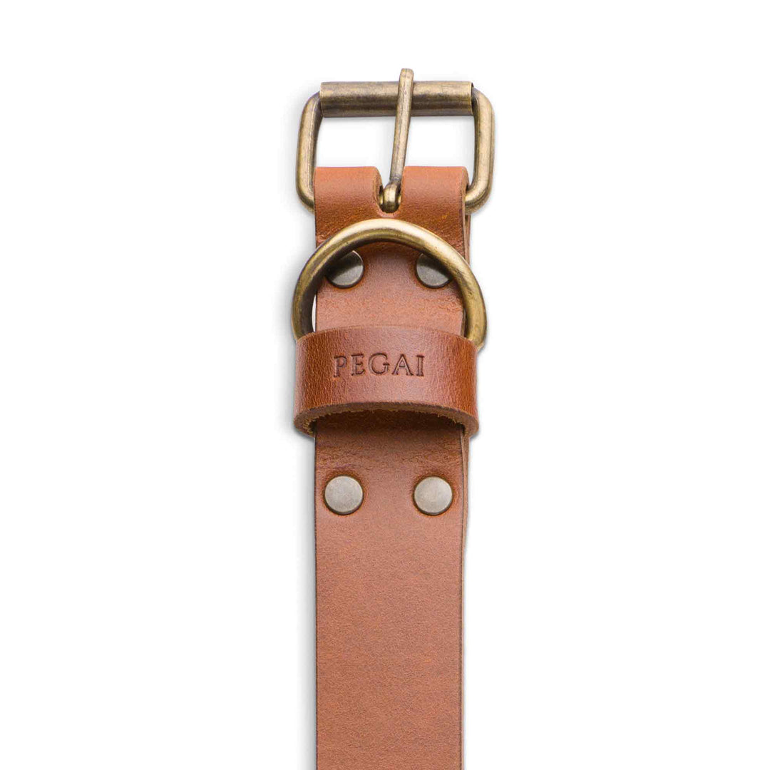 Tomak | Dog Collar | Cognac