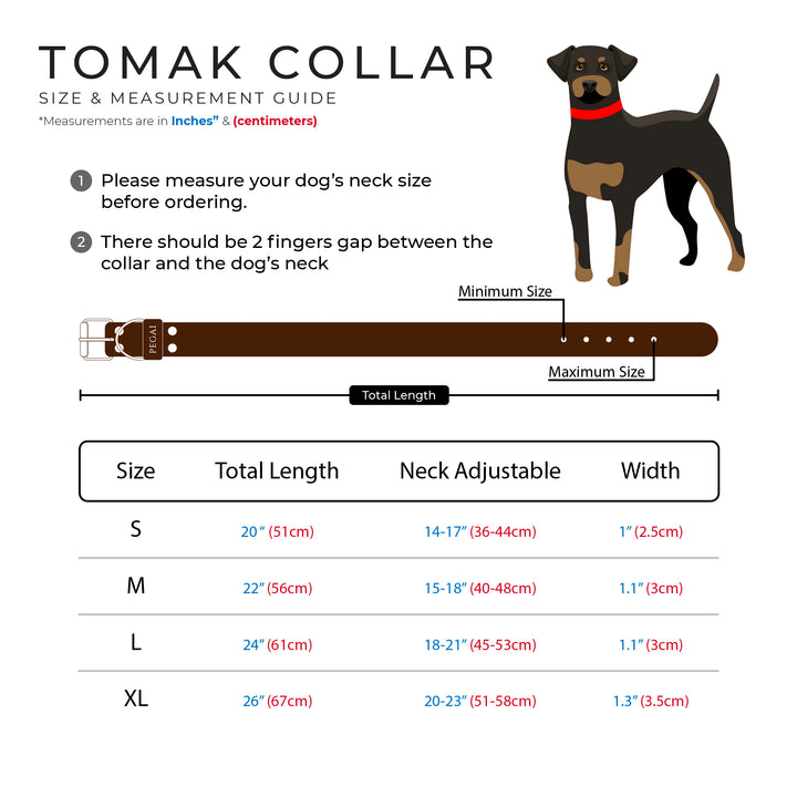 Tomak | Dog Collar | Black